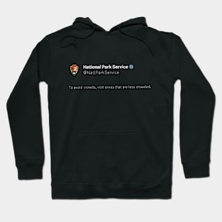 Crowds- NtnlPark Hoodie